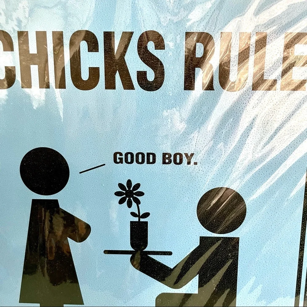 NEW Chicks Rule Metal Sign